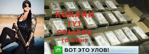 кокс Алексин