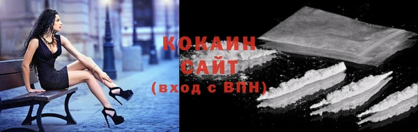 кокс Алексин
