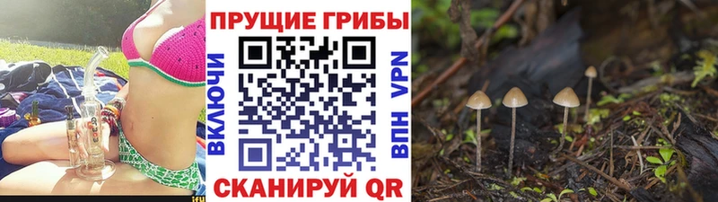 хочу наркоту  Нарьян-Мар  Галлюциногенные грибы прущие грибы 